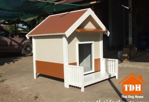 TDH-008