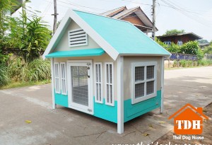 TDH-037