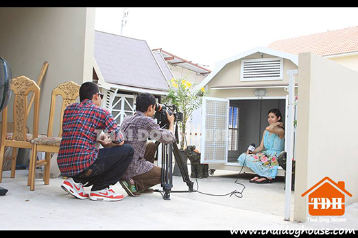 thaidoghouse รับสร้างบ้านสุนัข บ้านแมว บ้านหมา12