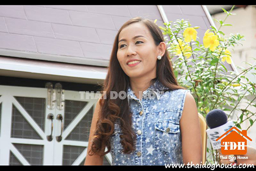 thaidoghouse รับสร้างบ้านสุนัข บ้านแมว บ้านหมา13