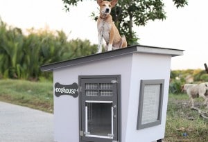 บ้านหมา Eco